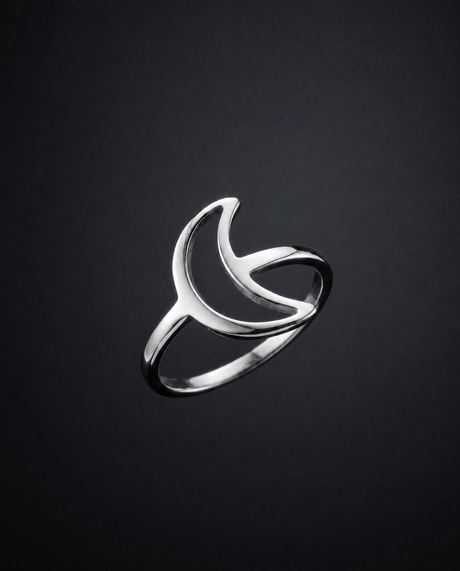 Selene Portal Ring - Silver