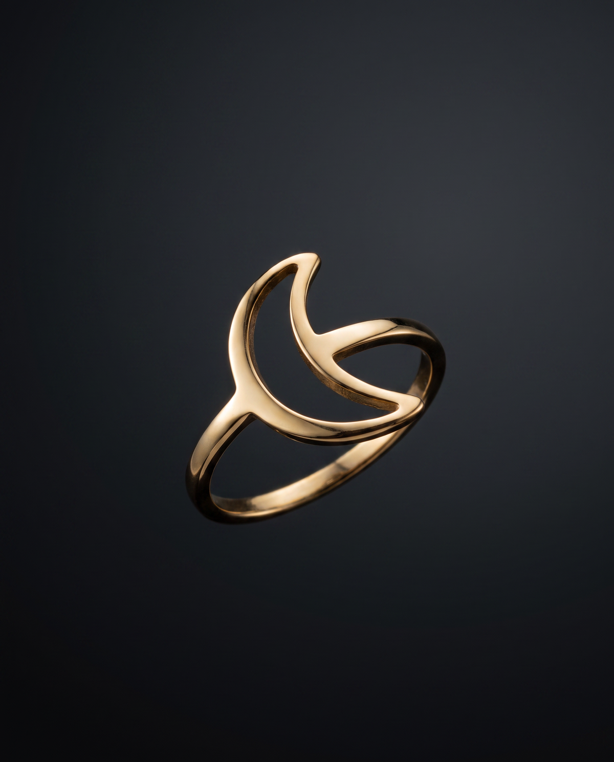 Selene Portal Ring - Gold