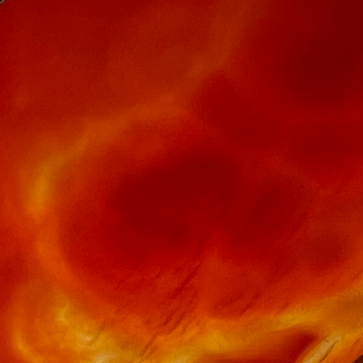 Nebulae Trace Earrings in Carnelian featuring 30mm burnt orange gemstone discs with gold stainless steel hooks, celestial statement drop earrings by Lawless Jewellery