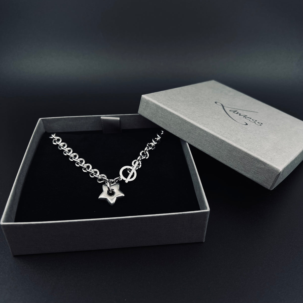 All-silver stainless steel necklace featuring an 18mm star pendant on a polished chain with toggle clasp, photographed against a dark background.