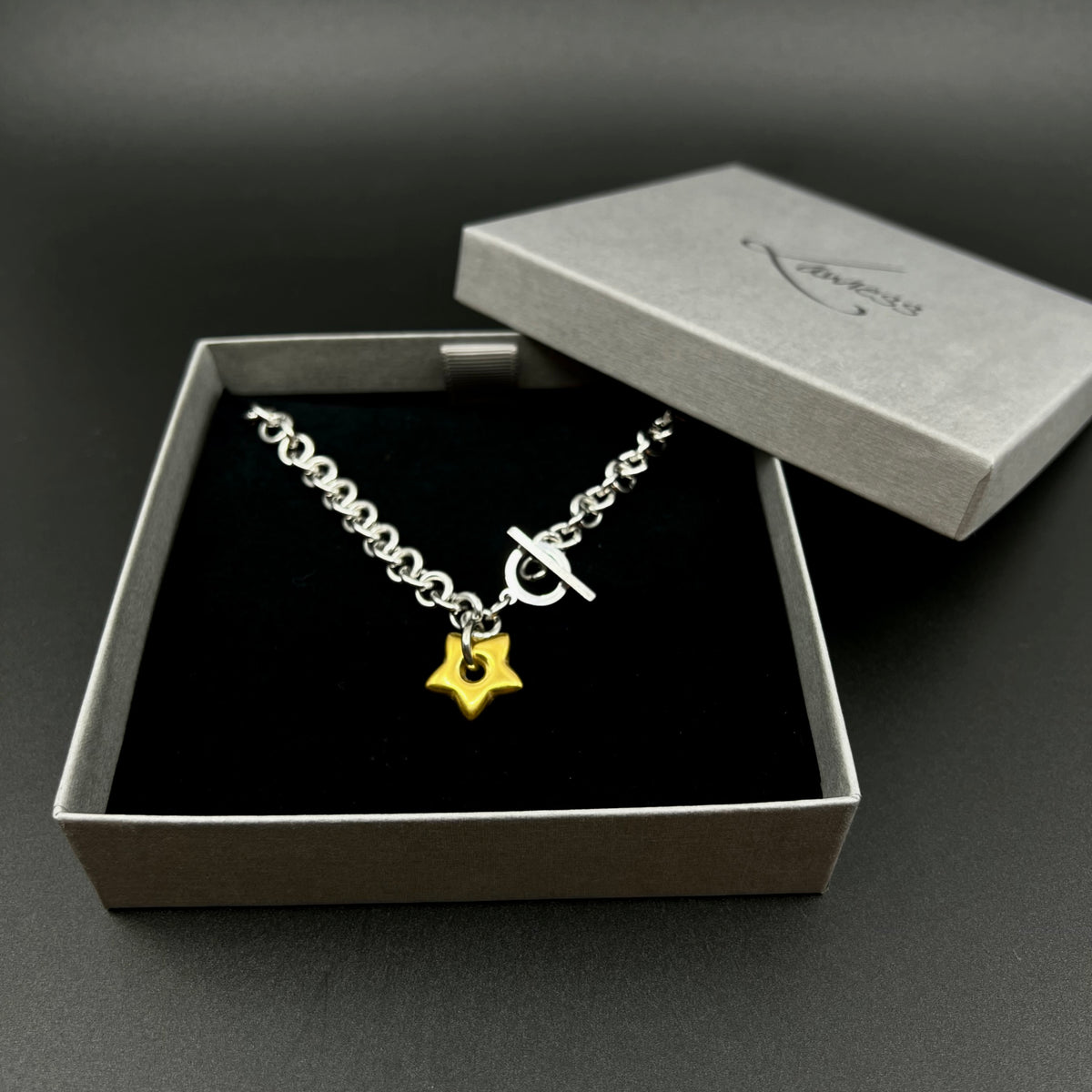 Silver stainless steel chain necklace with gold star pendant and toggle clasp, Urania Axis Necklace by Lawless Jewellery shown in presentation gift box